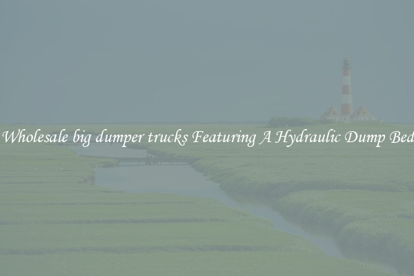Wholesale big dumper trucks Featuring A Hydraulic Dump Bed