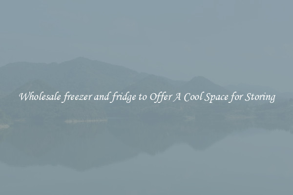 Wholesale freezer and fridge to Offer A Cool Space for Storing