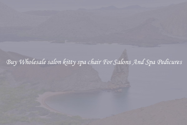 Buy Wholesale salon kitty spa chair For Salons And Spa Pedicures