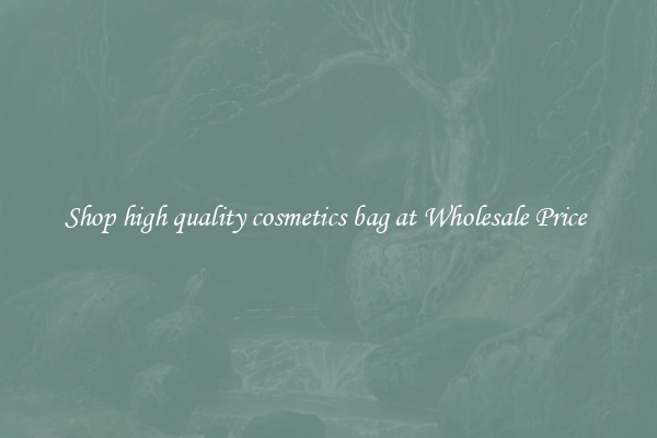 Shop high quality cosmetics bag at Wholesale Price 