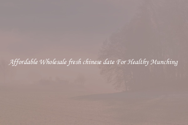 Affordable Wholesale fresh chinese date For Healthy Munching 