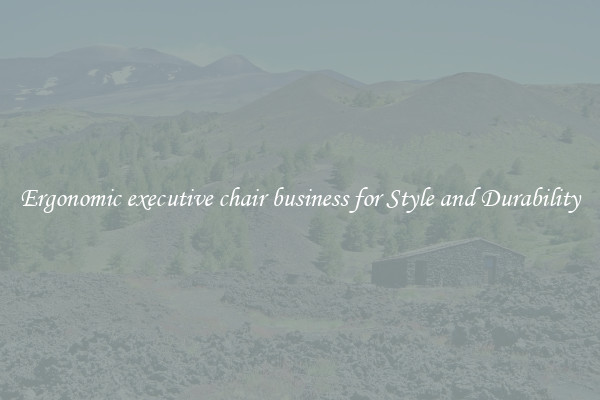 Ergonomic executive chair business for Style and Durability