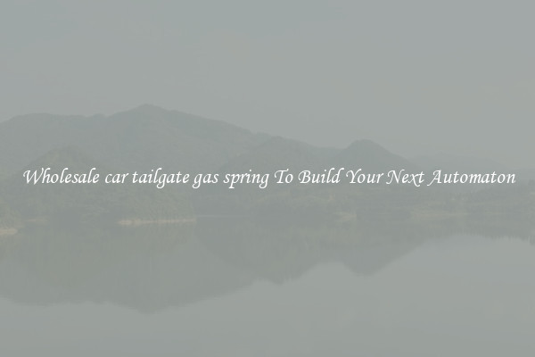 Wholesale car tailgate gas spring To Build Your Next Automaton
