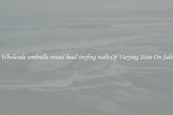 Wholesale umbrella round head roofing nails Of Varying Sizes On Sale