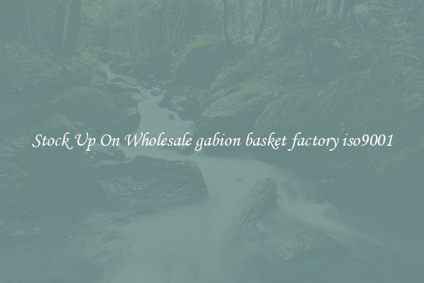 Stock Up On Wholesale gabion basket factory iso9001