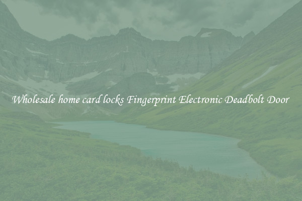 Wholesale home card locks Fingerprint Electronic Deadbolt Door 