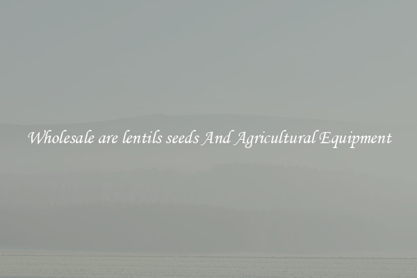 Wholesale are lentils seeds And Agricultural Equipment