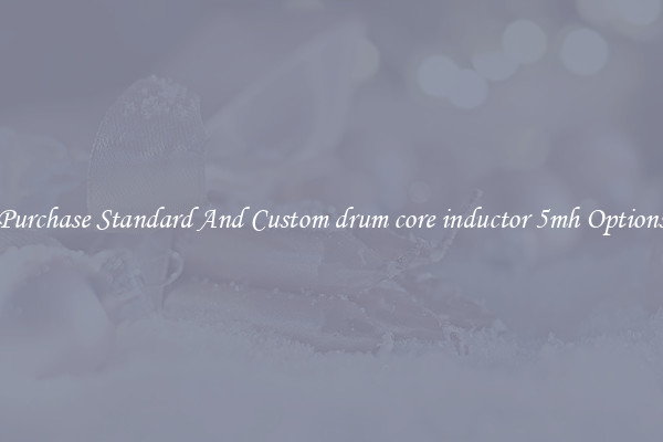 Purchase Standard And Custom drum core inductor 5mh Options