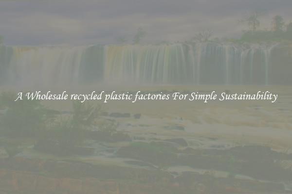  A Wholesale recycled plastic factories For Simple Sustainability 