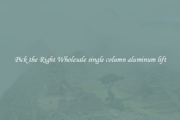 Pick the Right Wholesale single column aluminum lift