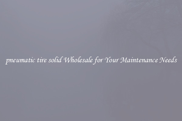 pneumatic tire solid Wholesale for Your Maintenance Needs