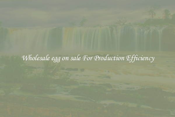 Wholesale egg on sale For Production Efficiency