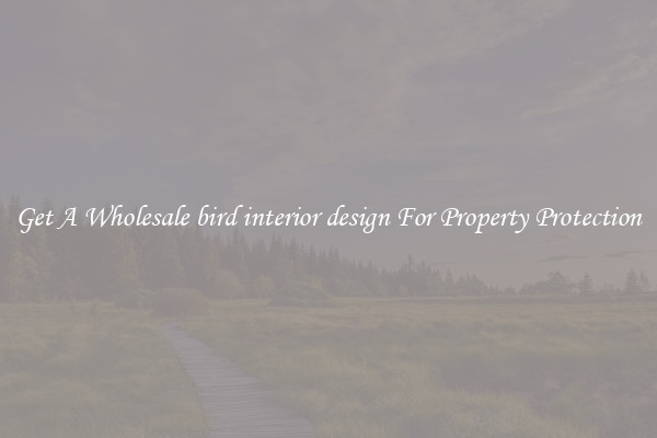 Get A Wholesale bird interior design For Property Protection
