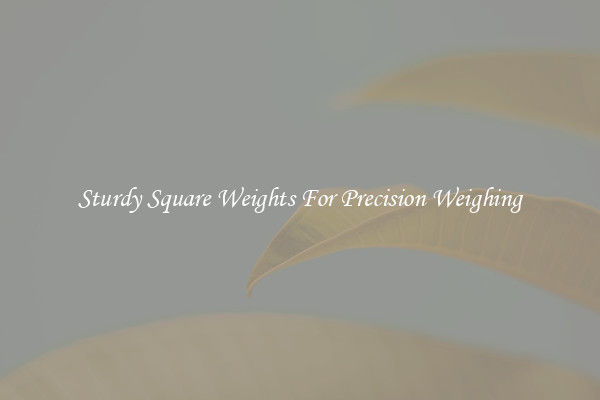 Sturdy Square Weights For Precision Weighing