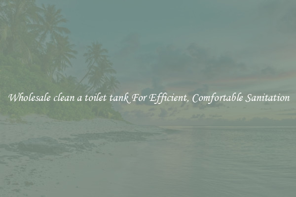 Wholesale clean a toilet tank For Efficient, Comfortable Sanitation