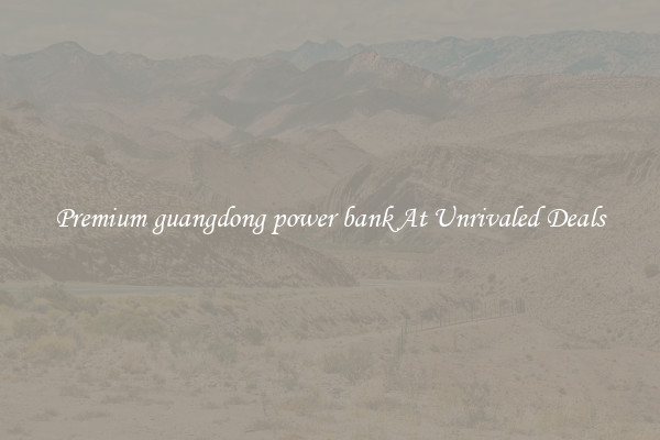Premium guangdong power bank At Unrivaled Deals