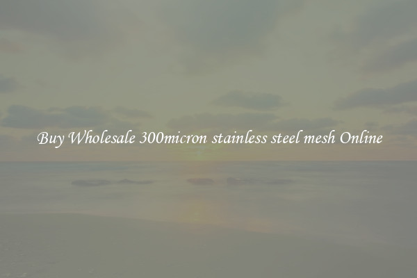 Buy Wholesale 300micron stainless steel mesh Online