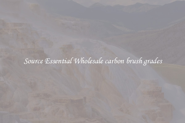 Source Essential Wholesale carbon brush grades