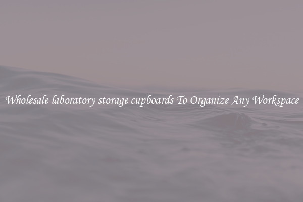 Wholesale laboratory storage cupboards To Organize Any Workspace